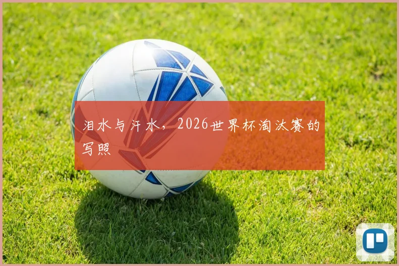 泪水与汗水，2026世界杯淘汰赛的写照