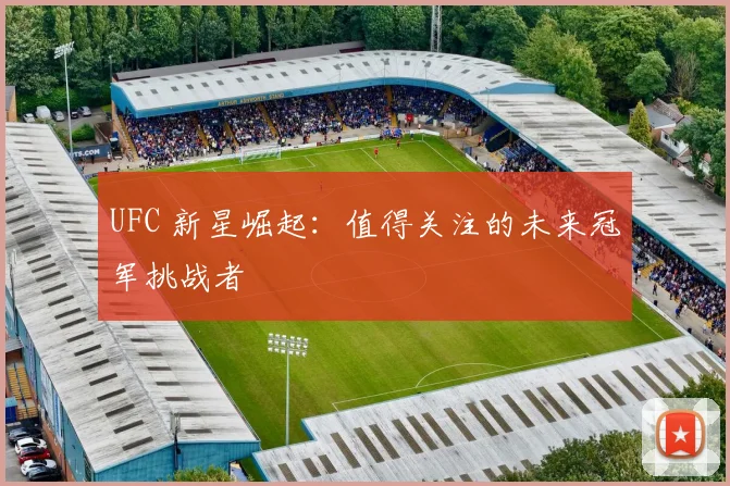 UFC 新星崛起：值得关注的未来冠军挑战者