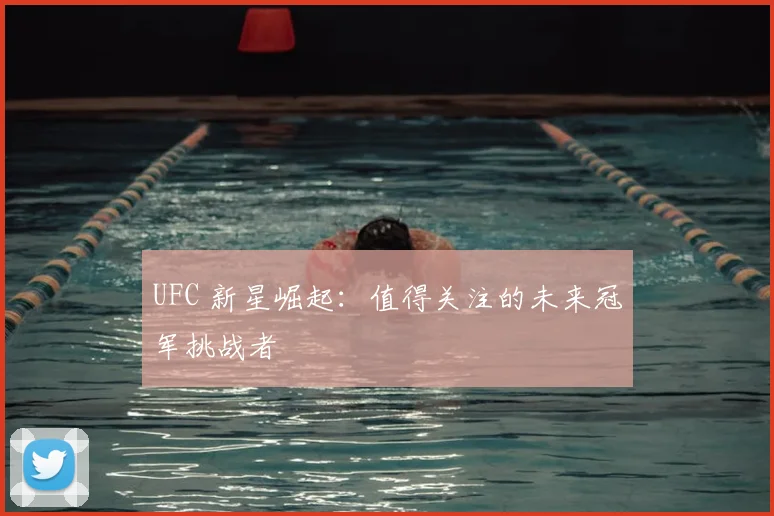 UFC 新星崛起：值得关注的未来冠军挑战者