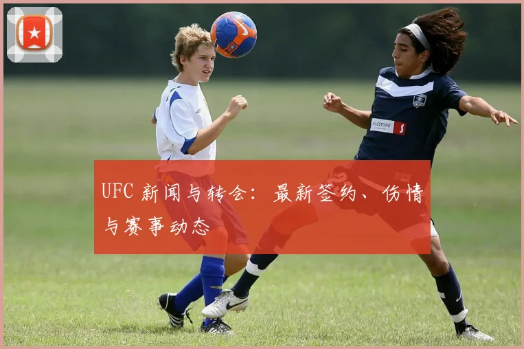 UFC 新闻与转会：最新签约、伤情与赛事动态