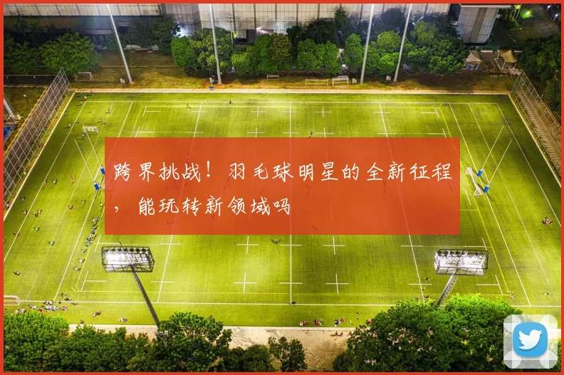 跨界挑战！羽毛球明星的全新征程，能玩转新领域吗